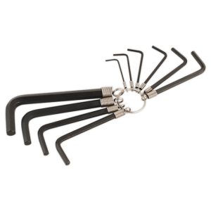 10pc Hex key set on ring