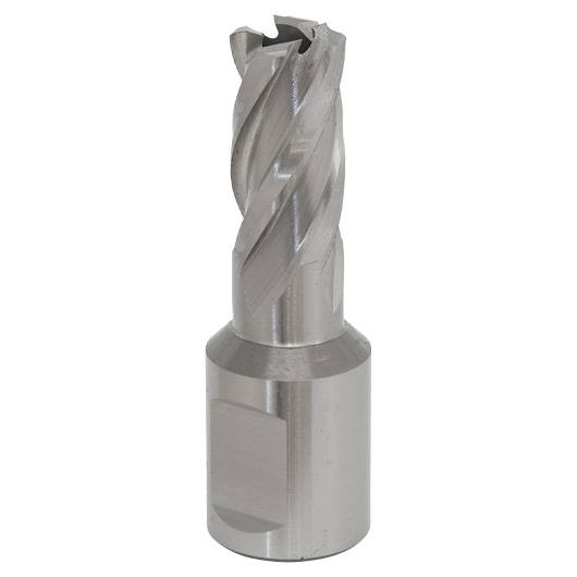 Worksafe® 16mm HSS Mag Drill Bit Cut Depth 25mm