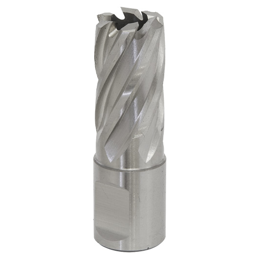 Worksafe® 17mm HSS Mag Drill Bit Cut Depth 25mm