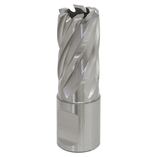 Worksafe® 18mm HSS Mag Drill Bit Cut Depth 25mm