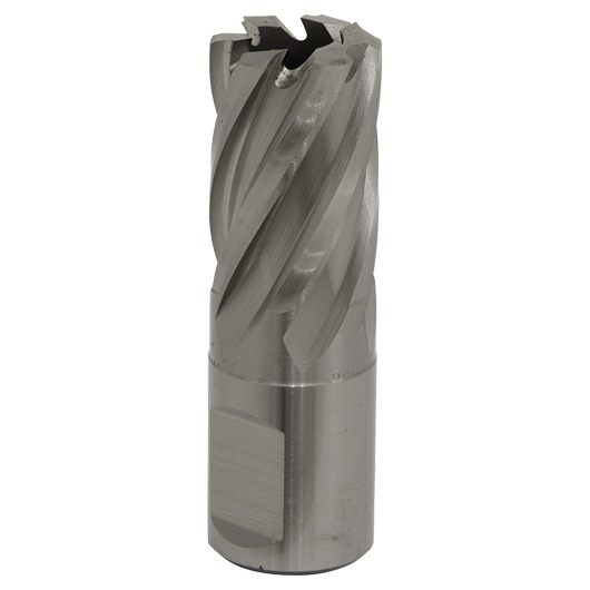 Worksafe® 19mm HSS Mag Drill Bit Cut Depth 25mm