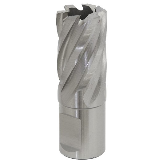 Worksafe® 20mm HSS Mag Drill Bit Cut Depth 25mm