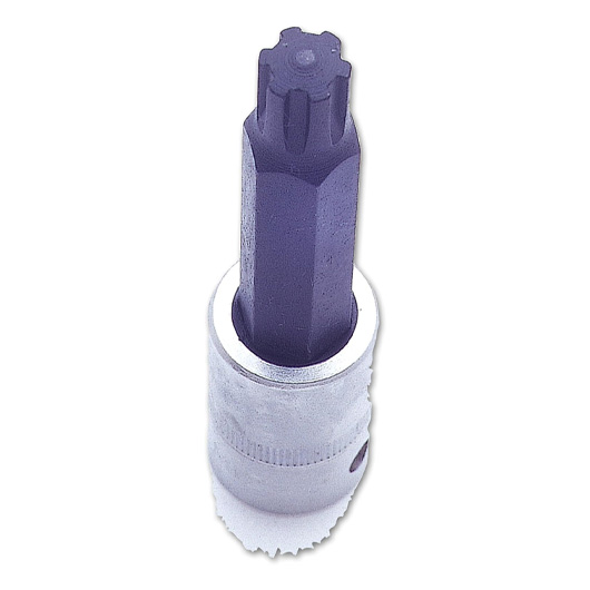 Ribe Bit 1/2"D M12 Drive Socket
